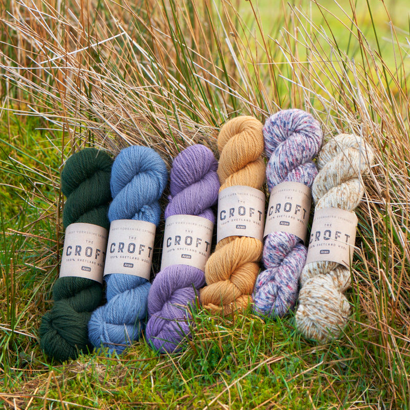 Load image into Gallery viewer, The Croft Shetland Aran by West Yorkshire Spinners 100g

