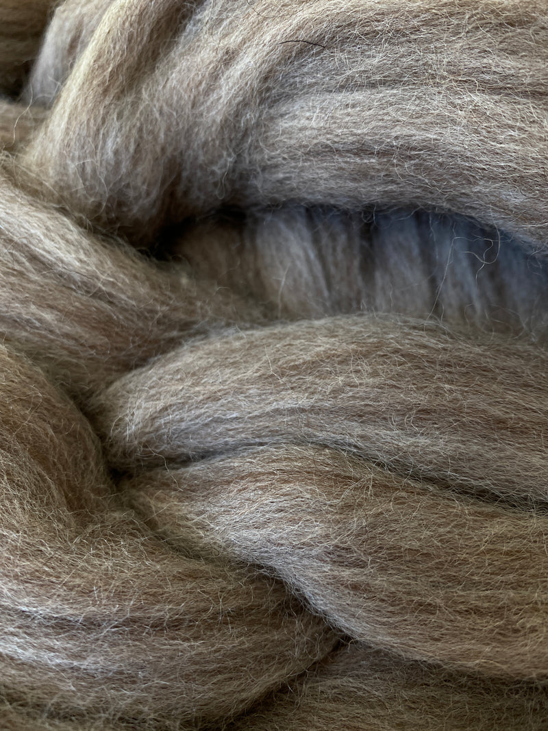 Load image into Gallery viewer, Blue Faced Leicester Wool/Bleached Tussah Silk Top 100g - Oatmeal
