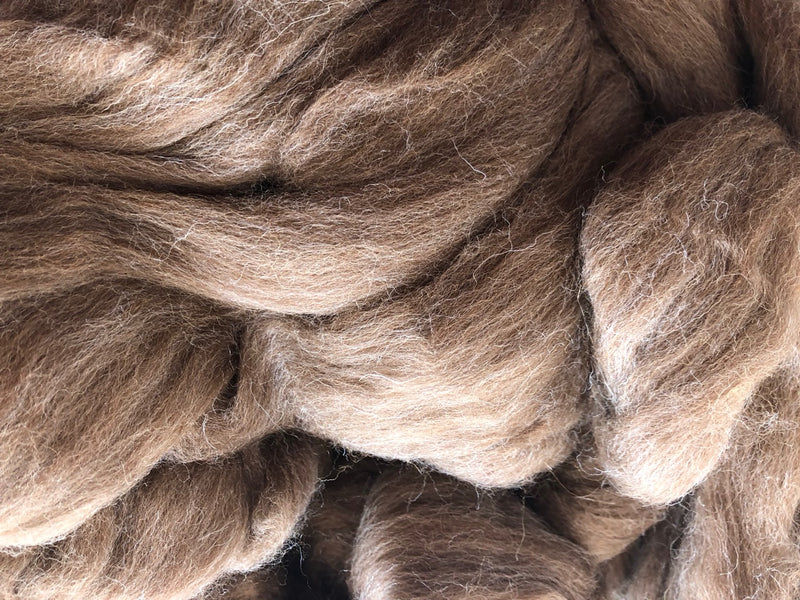 Load image into Gallery viewer, Natural Shetland Wool Top - Moorit
