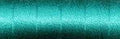 17-5034 Forest Green