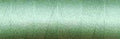 17-5051 Light Green