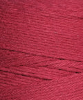 Raspberry