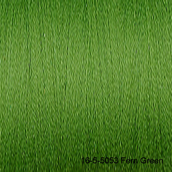 Load image into Gallery viewer, Venne 16/2 Unmercerised Organic Cotton 16-5-5053 Fern Green
