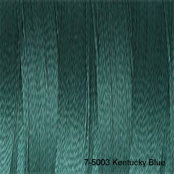 Load image into Gallery viewer, Venne Mercerised 20/2 Cotton 7-5003 Kentucky Blue
