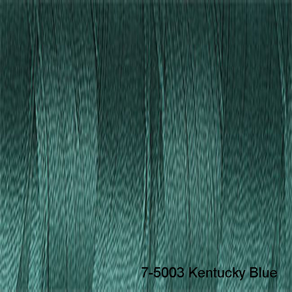 Load image into Gallery viewer, Venne Mercerised 20/2 Cotton 7-5003 Kentucky Blue
