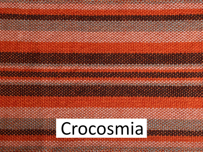 Load image into Gallery viewer, Crocosmia
