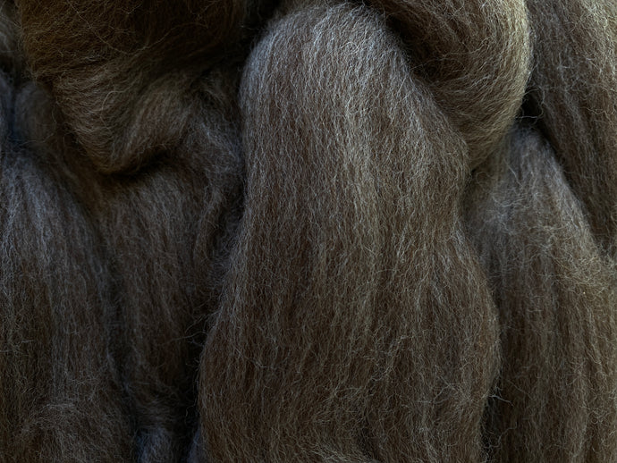 Blue Faced Leicester Wool/Bleached Tussah Silk Top 100g - Brown