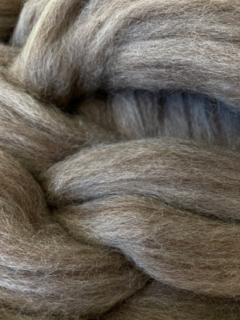 Blue Faced Leicester Wool/Bleached Tussah Silk Top 100g - Oatmeal