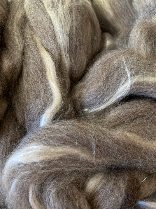 Blue Faced Leicester Wool/Bleached Tussah Silk Top 100g - Oatmeal