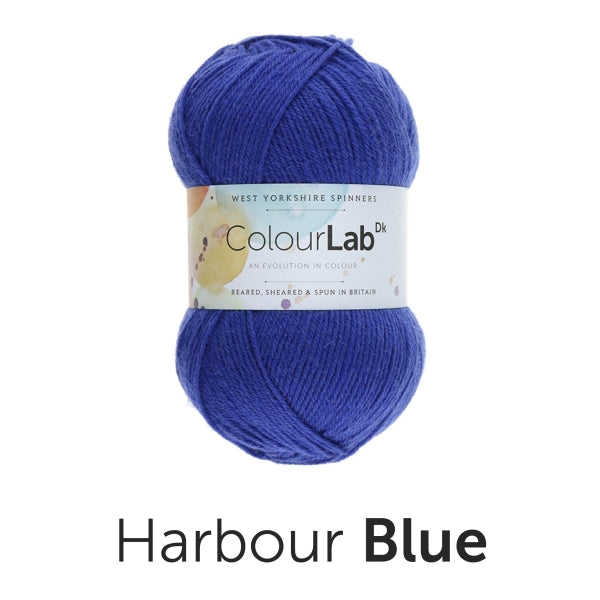 Load image into Gallery viewer, ColourLab DK by West Yorkshire Spinners 100g
