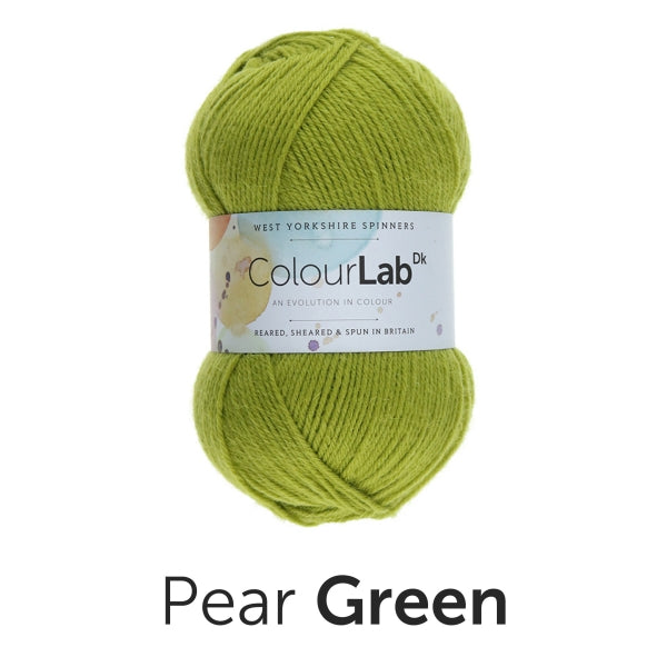 Load image into Gallery viewer, ColourLab DK by West Yorkshire Spinners 100g
