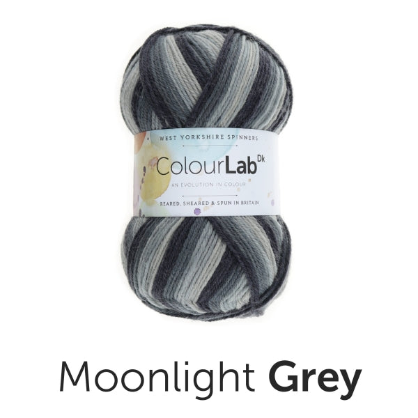 Load image into Gallery viewer, ColourLab DK by West Yorkshire Spinners 100g
