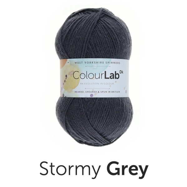 Load image into Gallery viewer, ColourLab DK by West Yorkshire Spinners 100g
