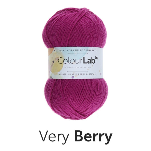 Load image into Gallery viewer, ColourLab DK by West Yorkshire Spinners 100g
