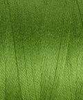 Ashford 5/2 Unmercerised Cotton - Cedar Green