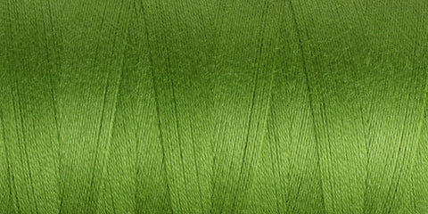 Ashford 5/2 Unmercerised Cotton - Cedar Green