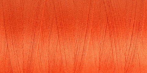 Ashford 10/2 Unmercerised Cotton - Celosia Orange
