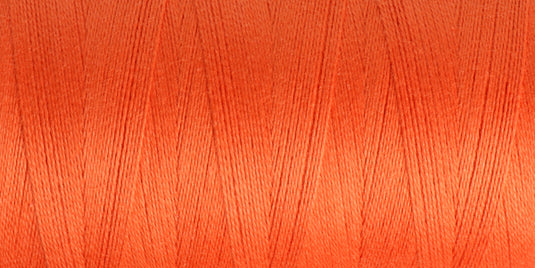 Ashford 10/2 Unmercerised Cotton - Celosia Orange