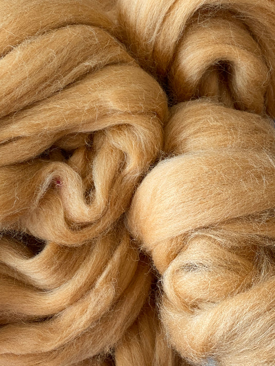 Dyed Shetland Wool Top 100g