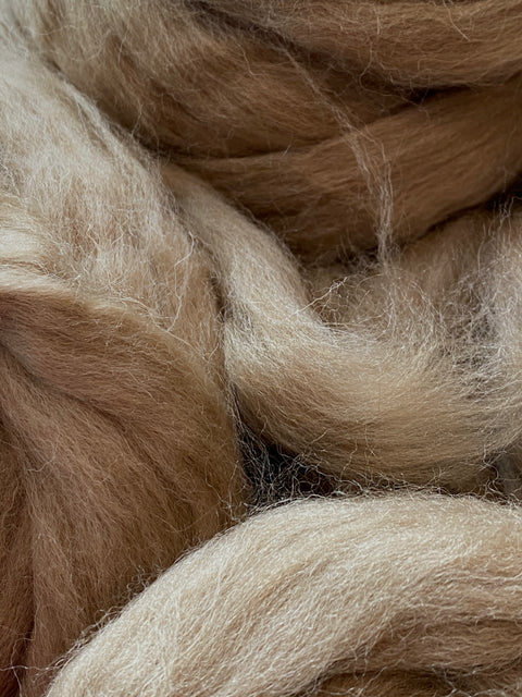 Shetland Fibre