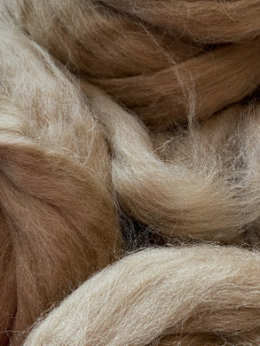 Dyed Shetland Wool Top 100g