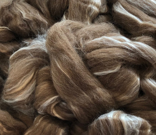 Shetland Wool/Extra Bleached Tussah Silk Top - Moorit