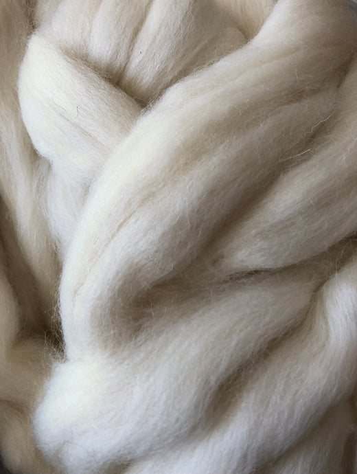 Natural Shetland Wool Top - White